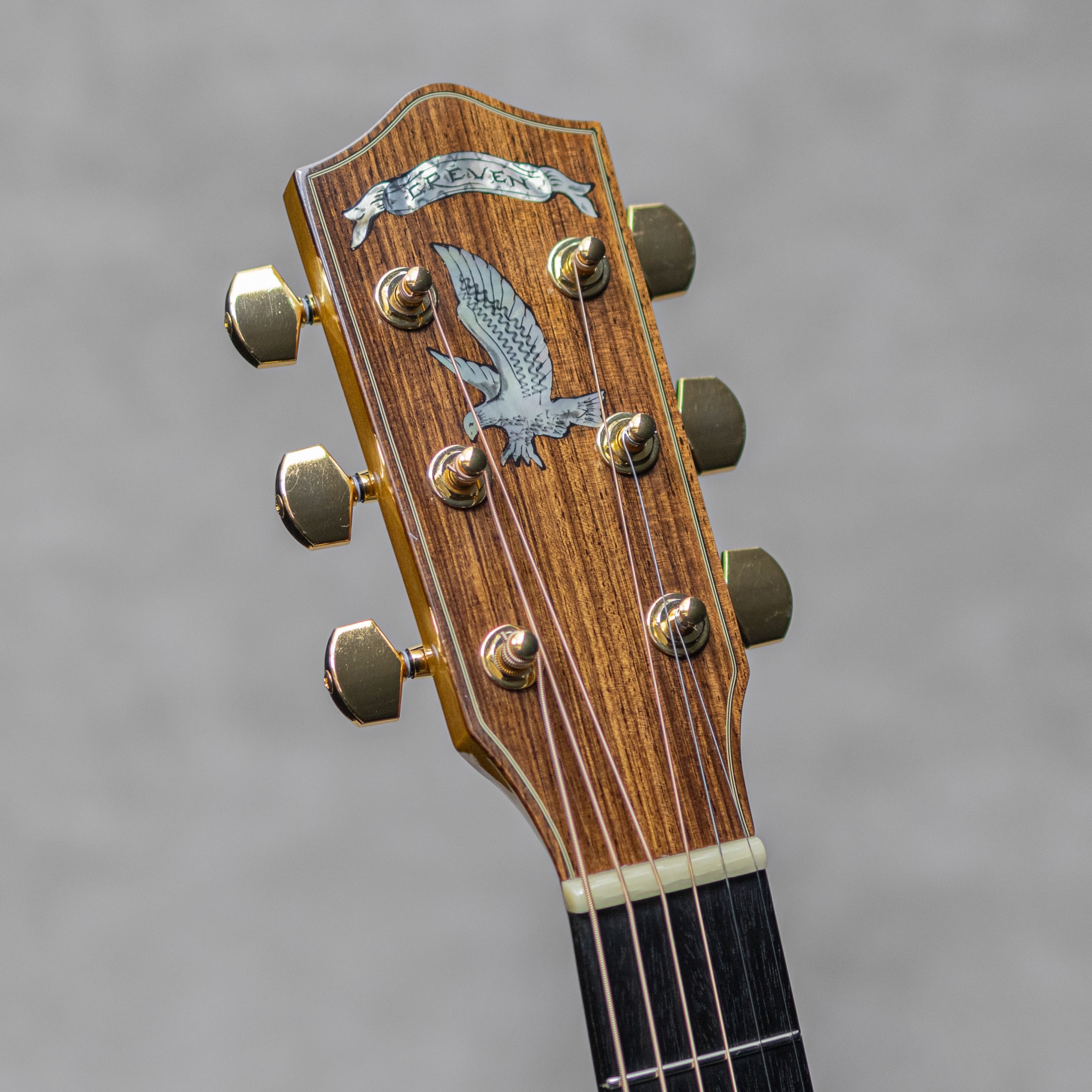 The Oshio D Lutz Spruce / Jacaranda / 2012