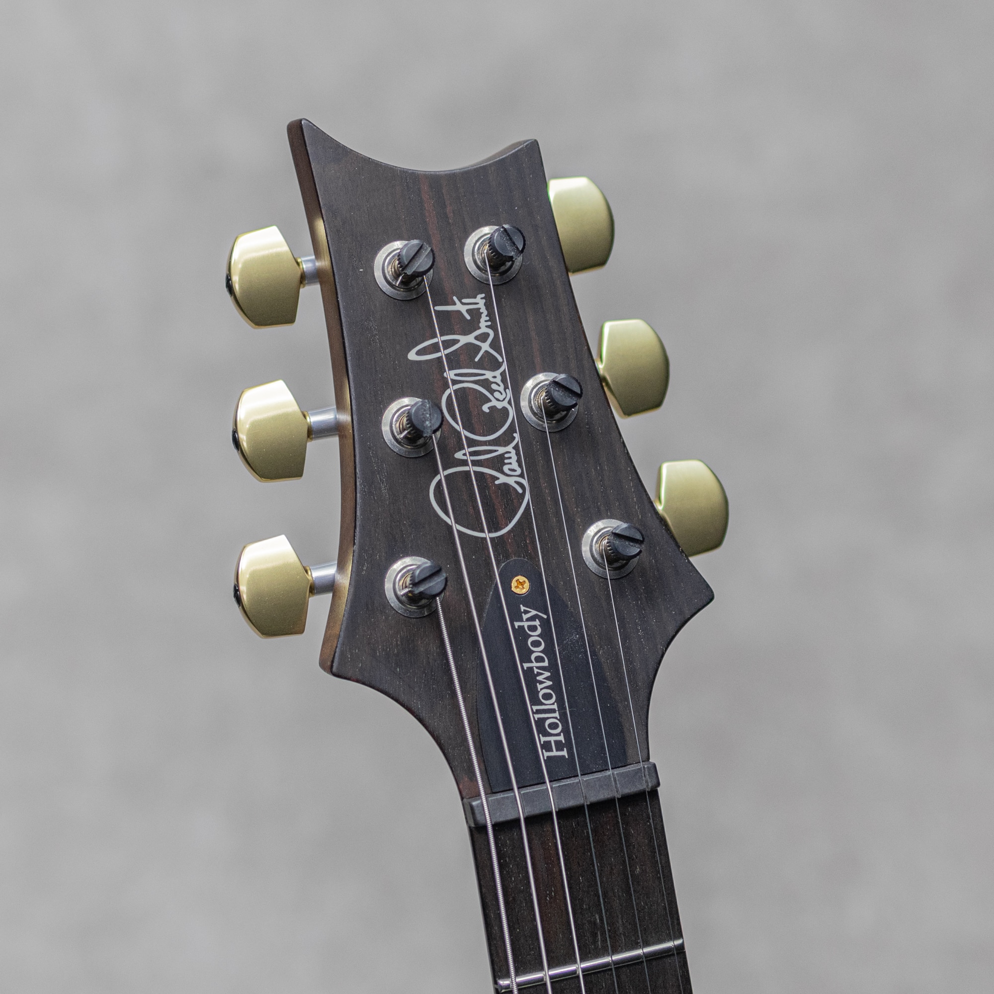 Wood Library Hollowbody I Piezo Rosewood Neck African Blackwood FB McCarty Sunburst / 2018