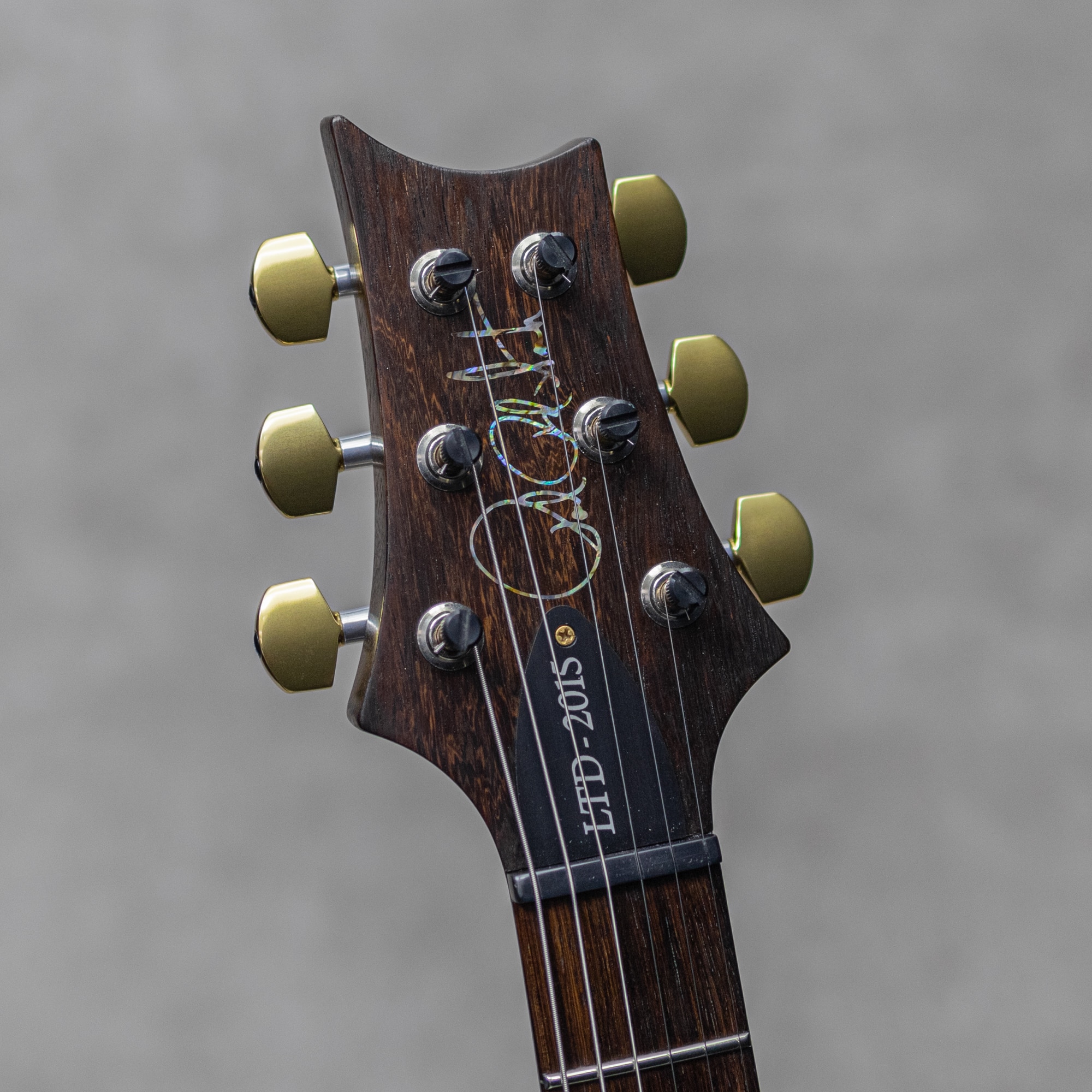 Wood Library P24 Trem Limited Rosewood Neck&FB Angry Larry / 2015