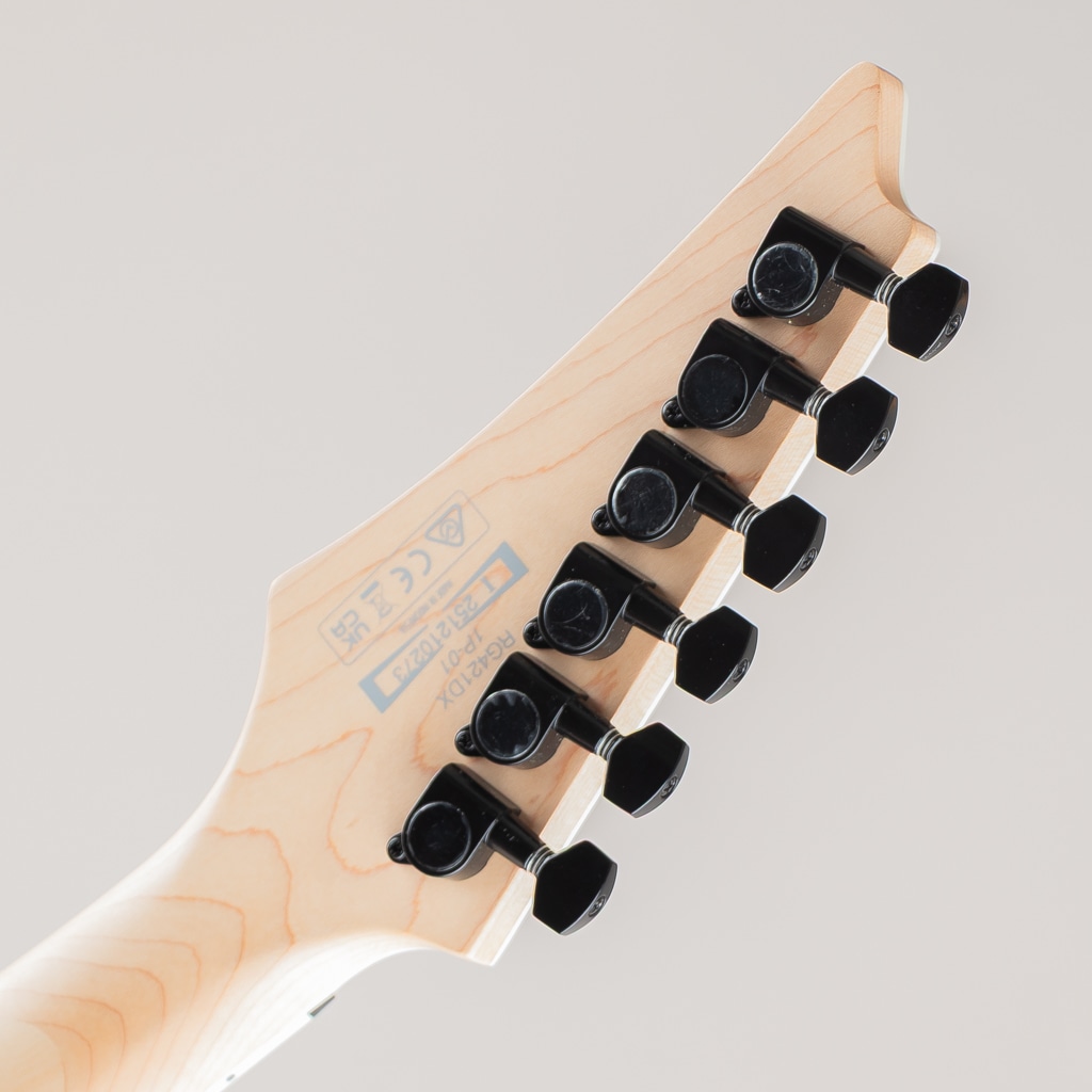 RG421DX / Twilight Shade