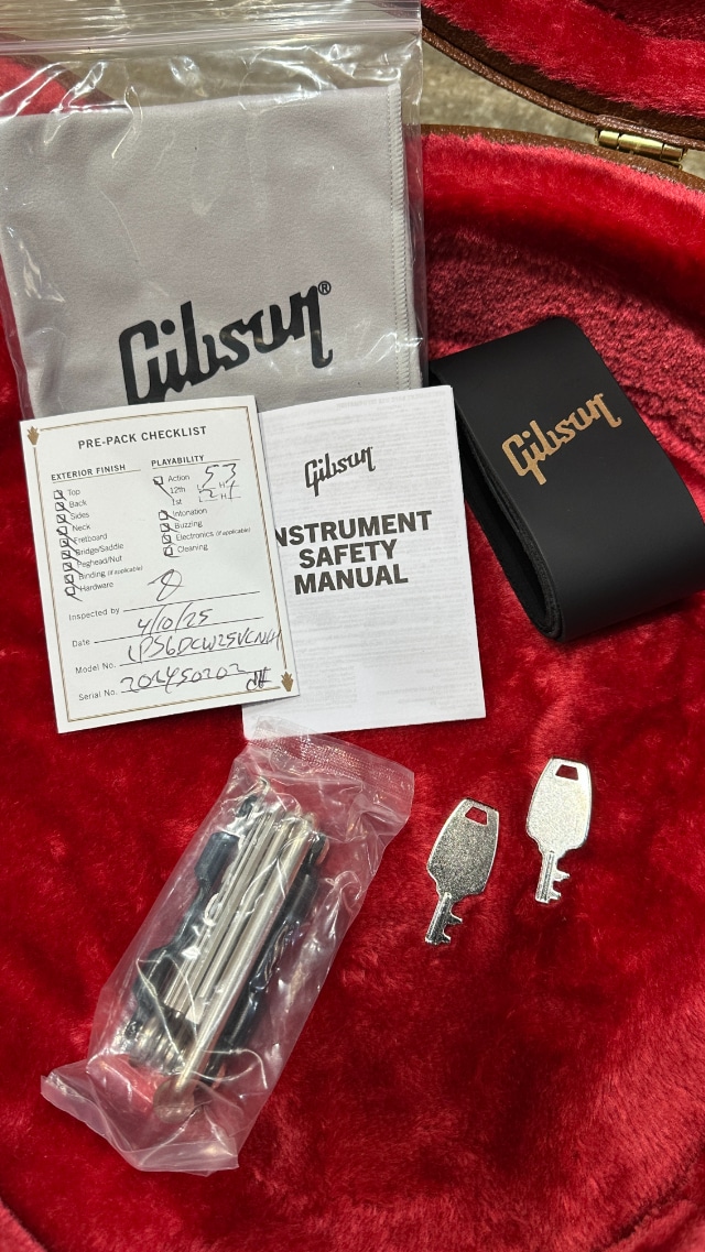 Les Paul Standard 60s Double Trouble Heritage Cherry Sunburst 2025