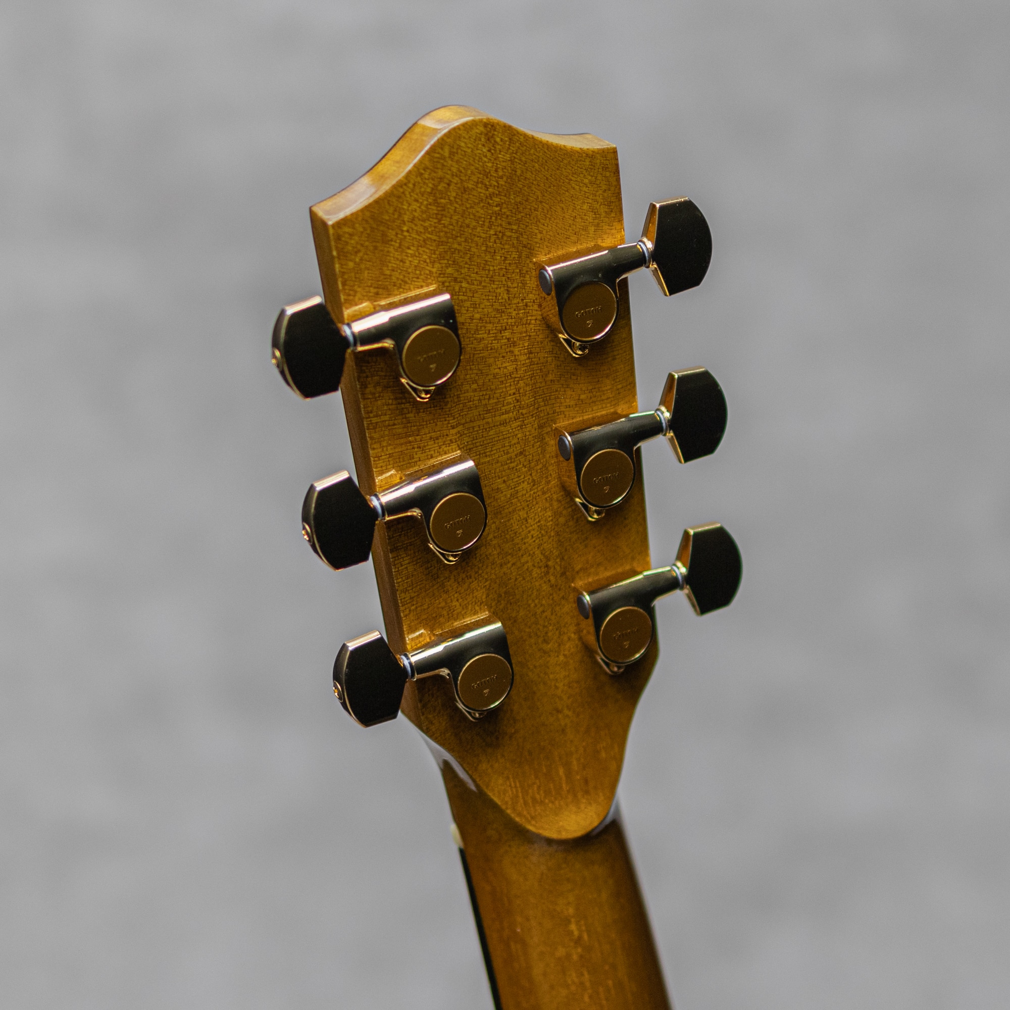 The Oshio D Lutz Spruce / Jacaranda / 2012