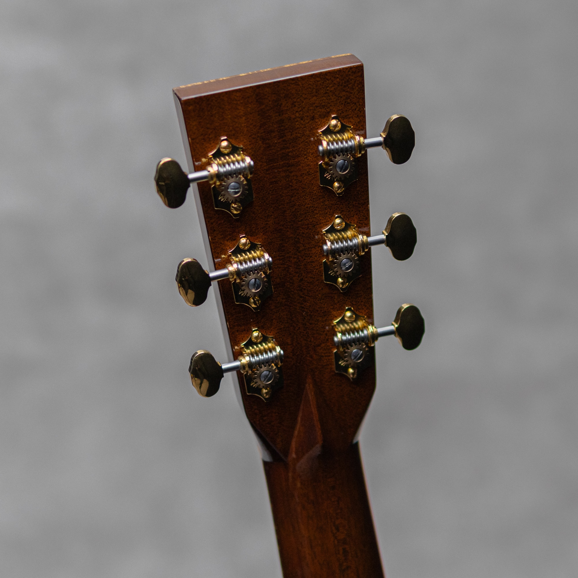 CTM OOO-42 Madagascar Anaheim / 2013