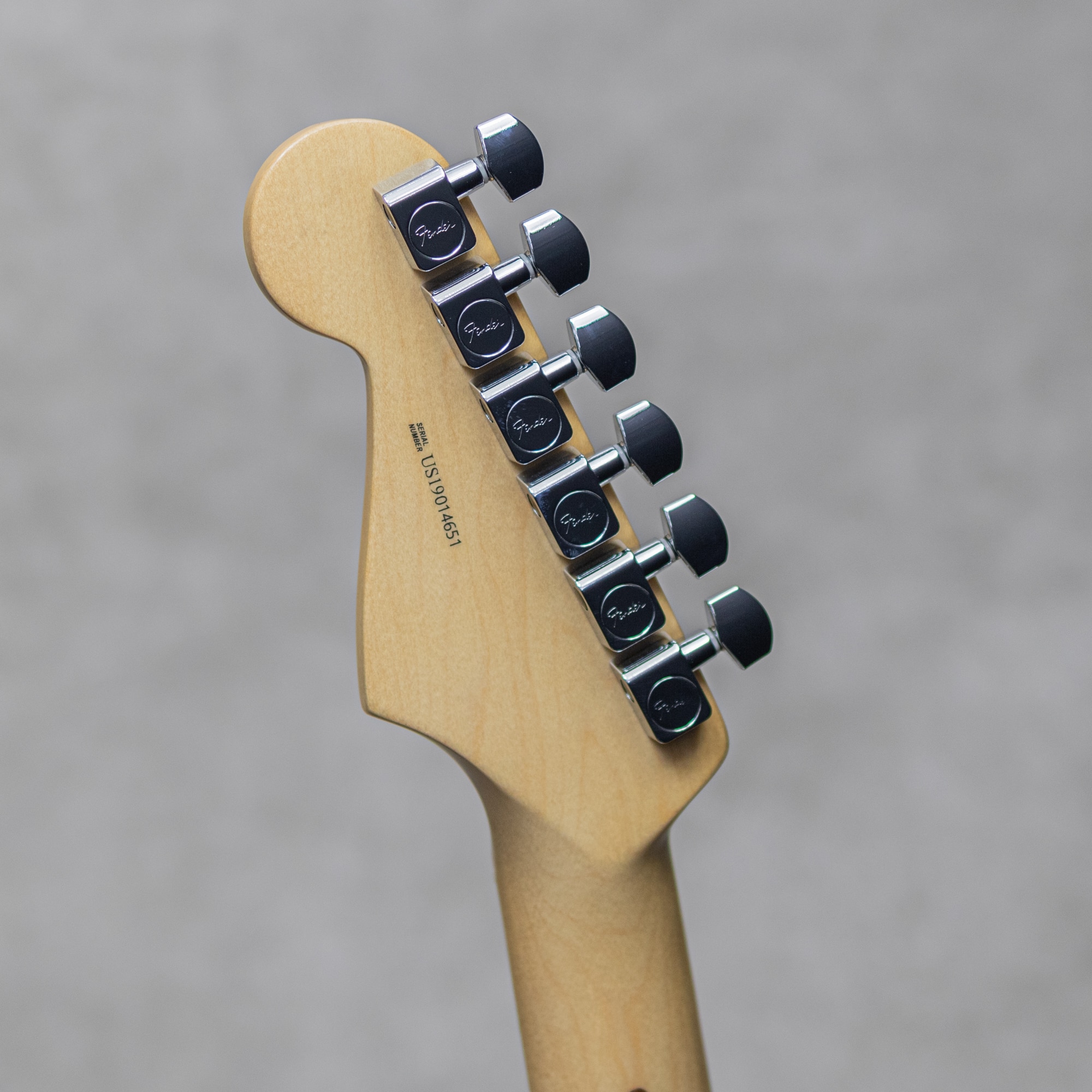 American Professional Stratocaster Natural/Maple / 2019