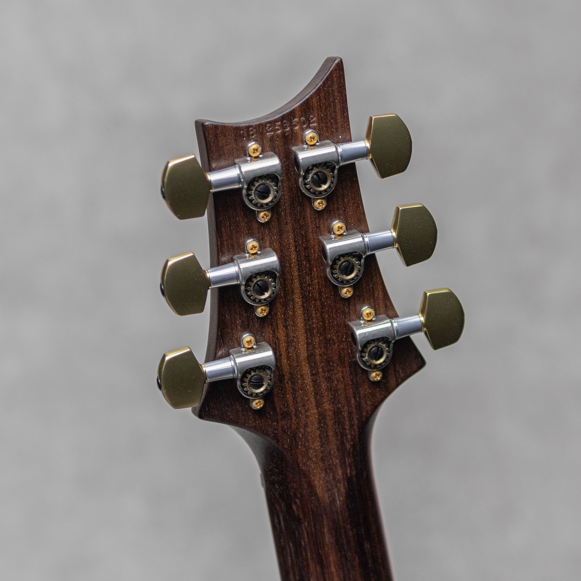 Wood Library Hollowbody I Piezo Rosewood Neck African Blackwood FB McCarty Sunburst / 2018