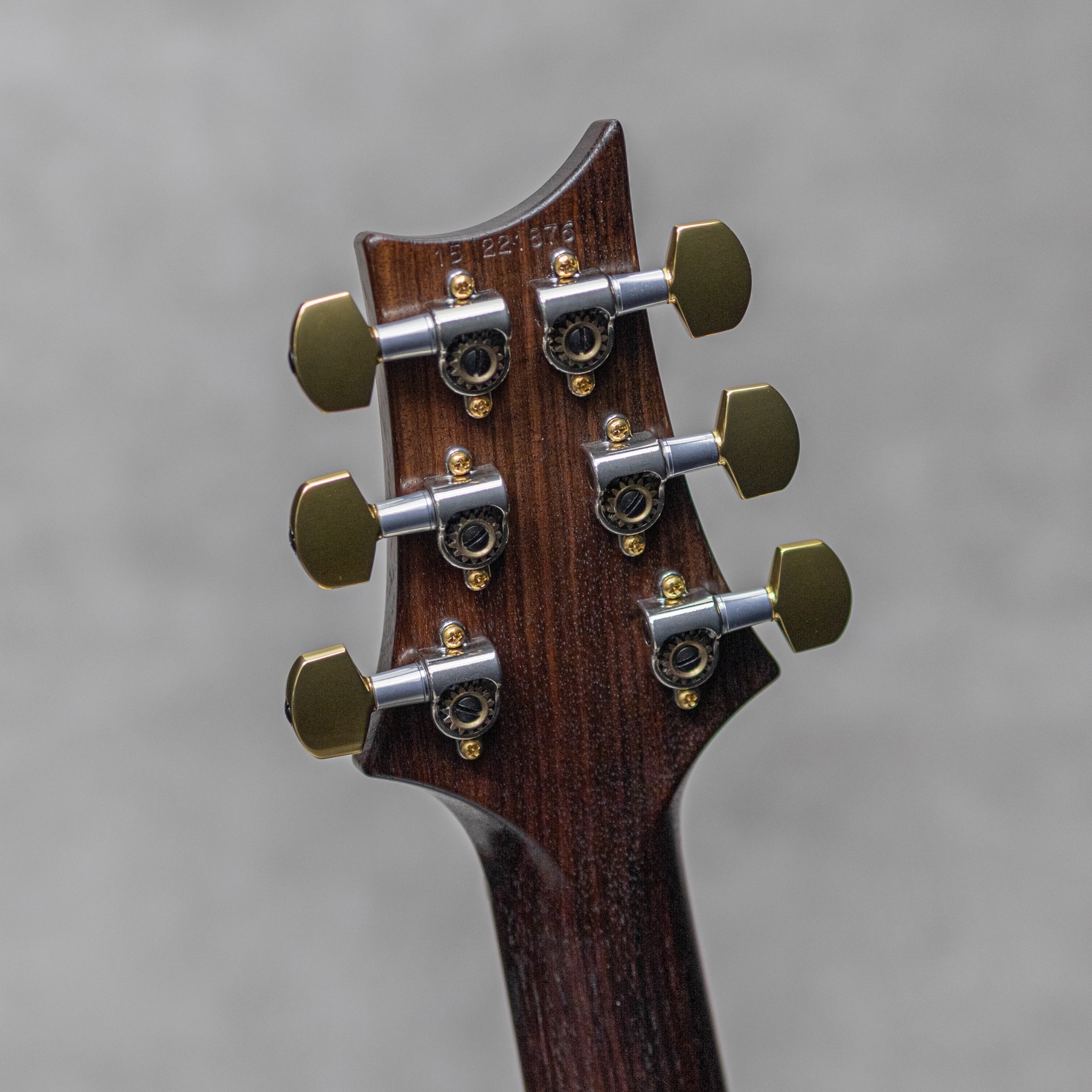 Wood Library P24 Trem Limited Rosewood Neck&FB Angry Larry / 2015