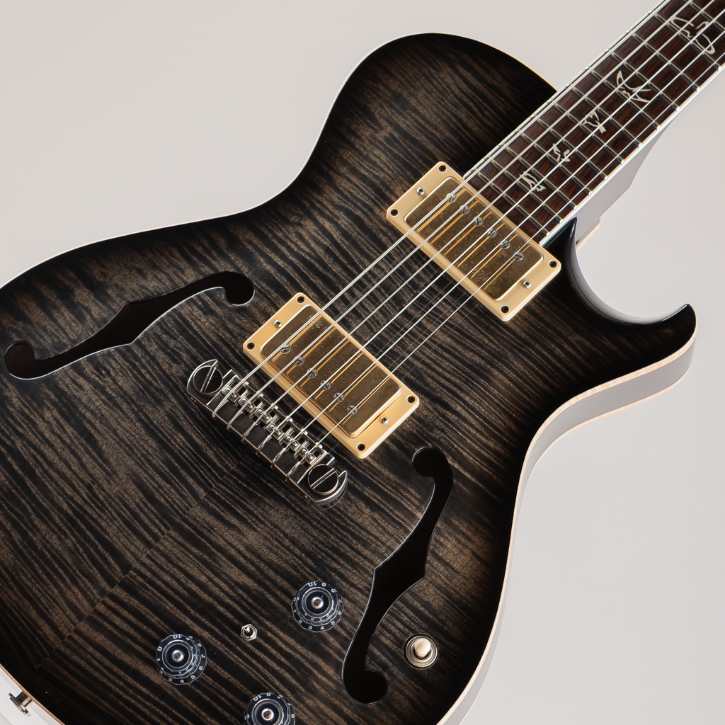 25th Singlecut Hollowbody II 10top 2010