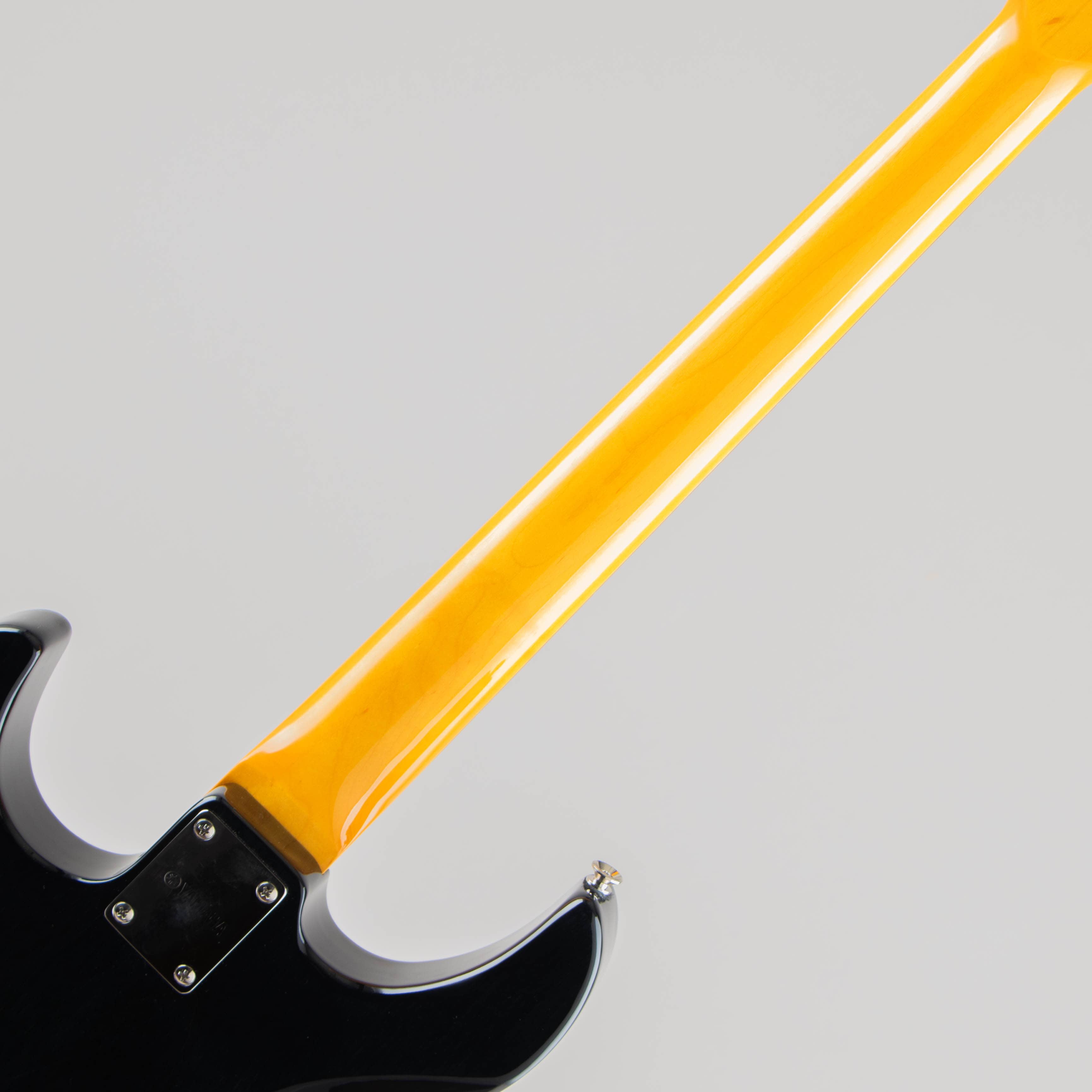 PACIFICA611HFM / Translucent Black