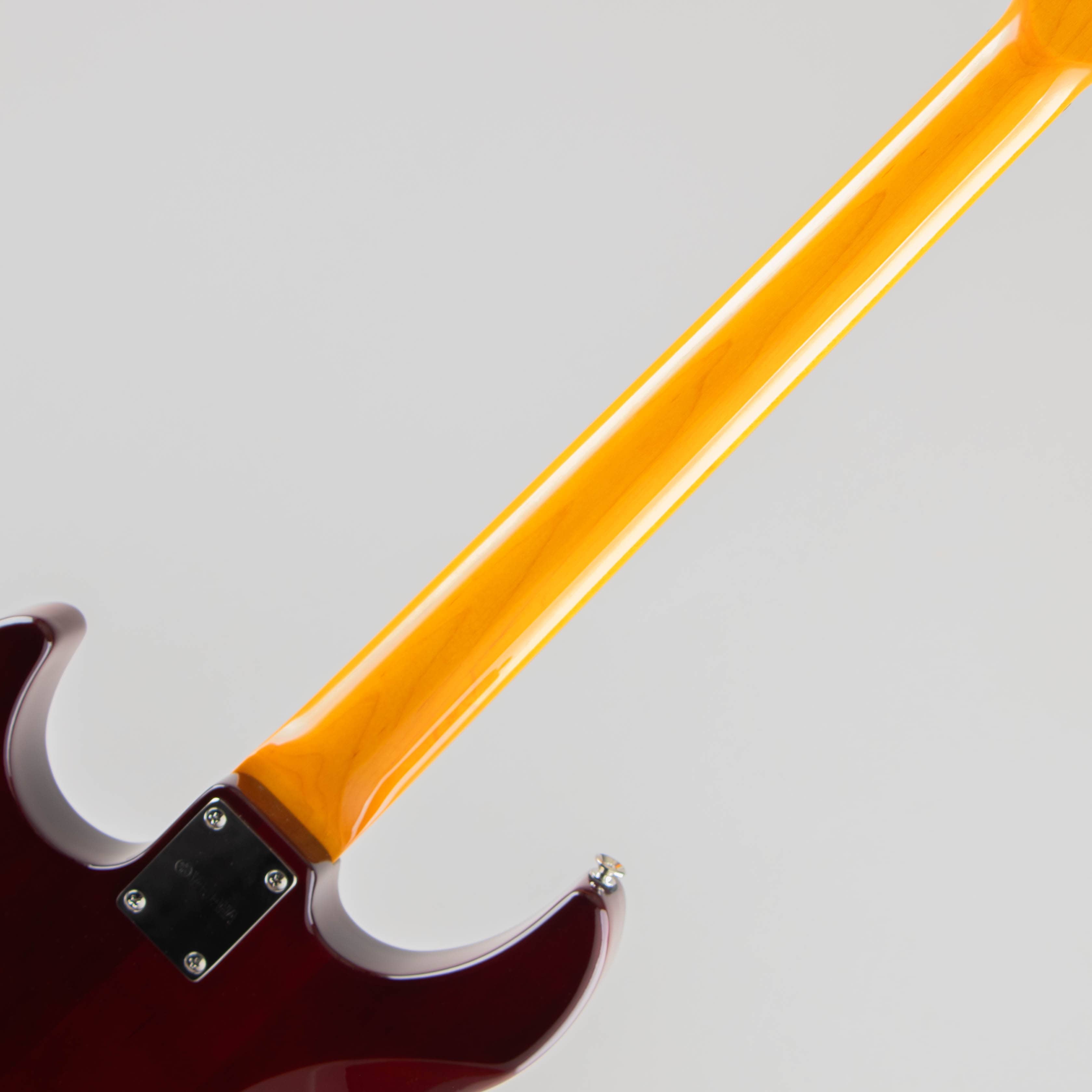 PACIFICA611HFM / Root Beer