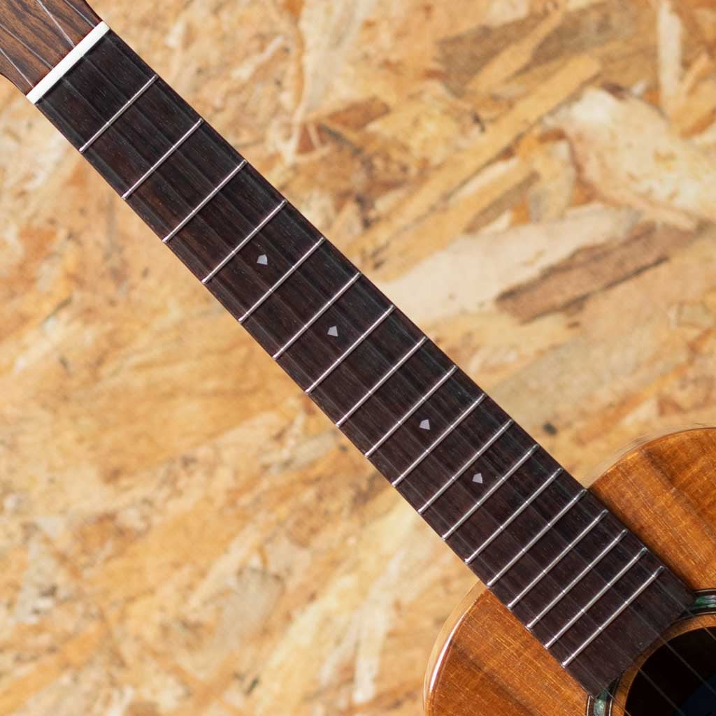 TKP-6233 Premium Concert