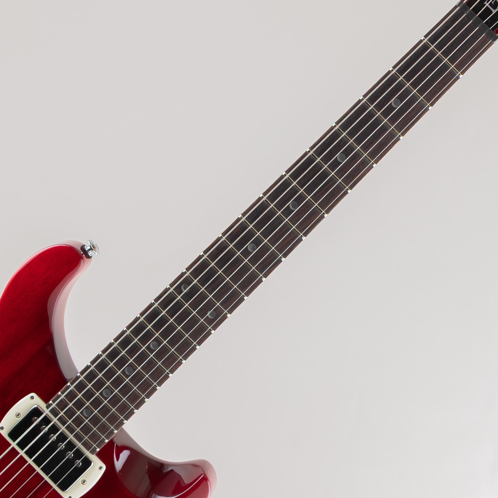 SE DGT Standard/Vintage Cherry【2025】