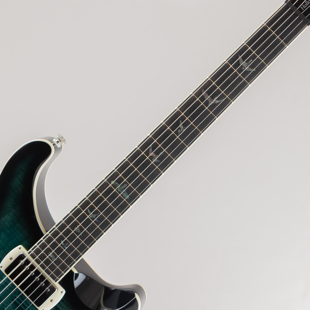 SE Hollowbody II Piezo/Peacock Blue【2025】