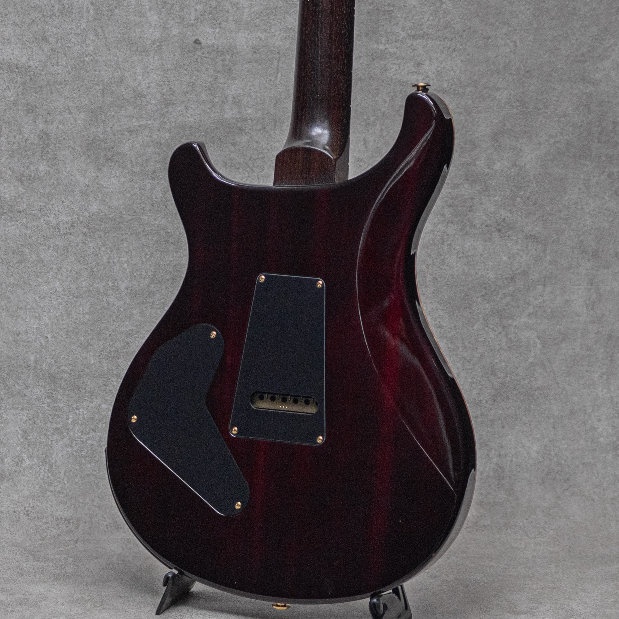 Wood Library P24 Trem Limited Rosewood Neck&FB Angry Larry / 2015