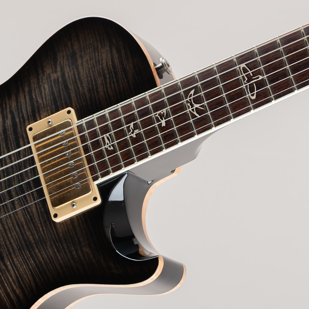 25th Singlecut Hollowbody II 10top 2010