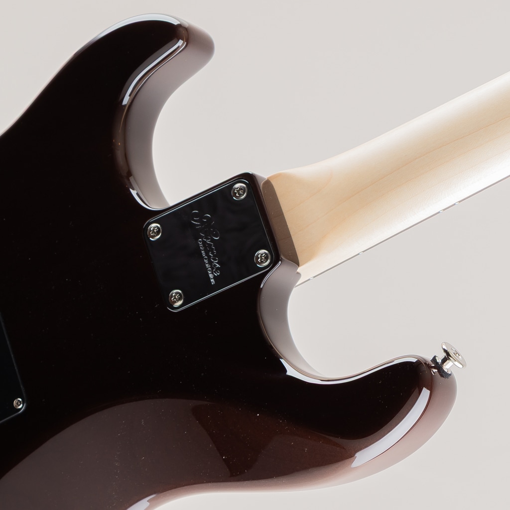 MC1-CTM/FT/R BLU/PPL-VGR #22223