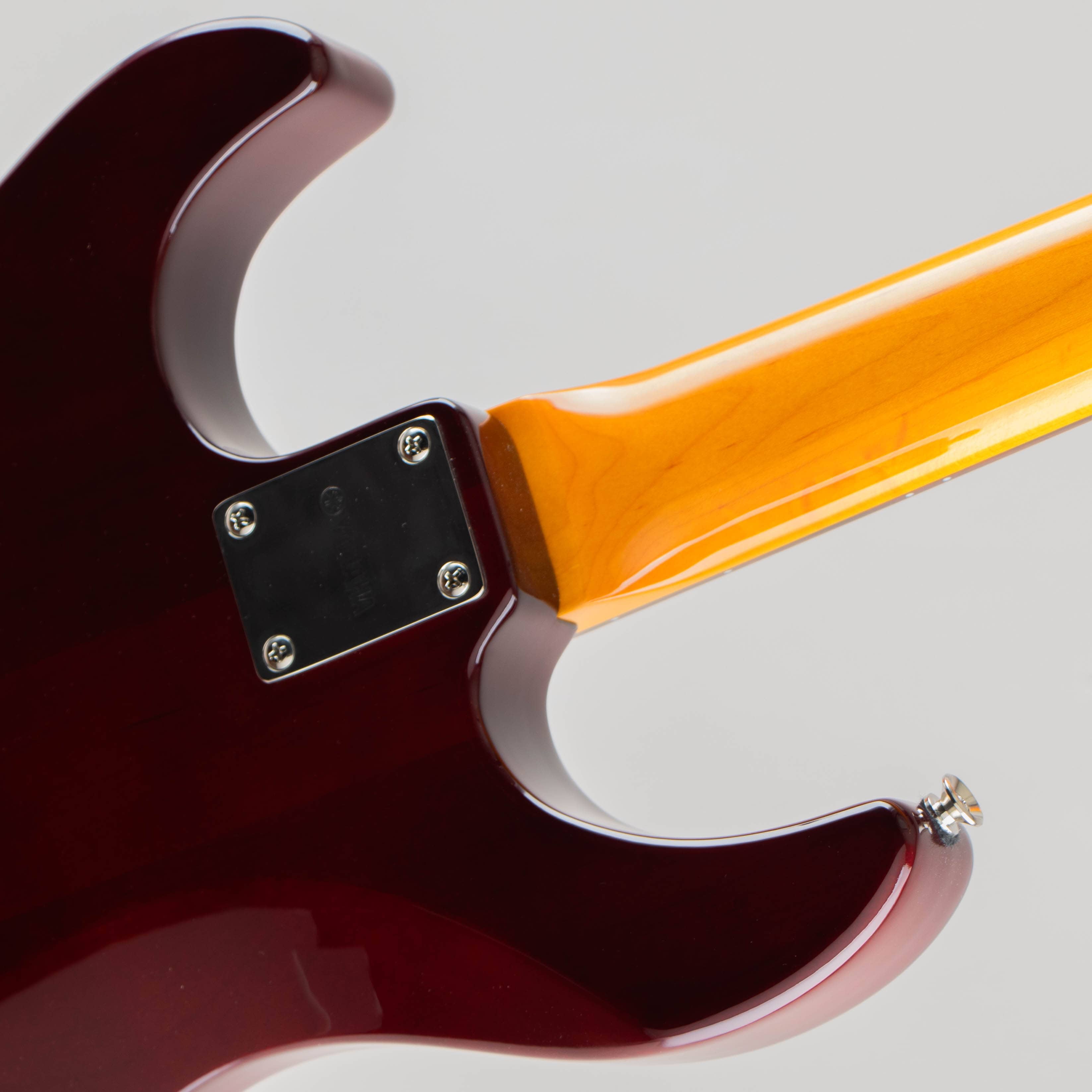 PACIFICA611HFM / Root Beer