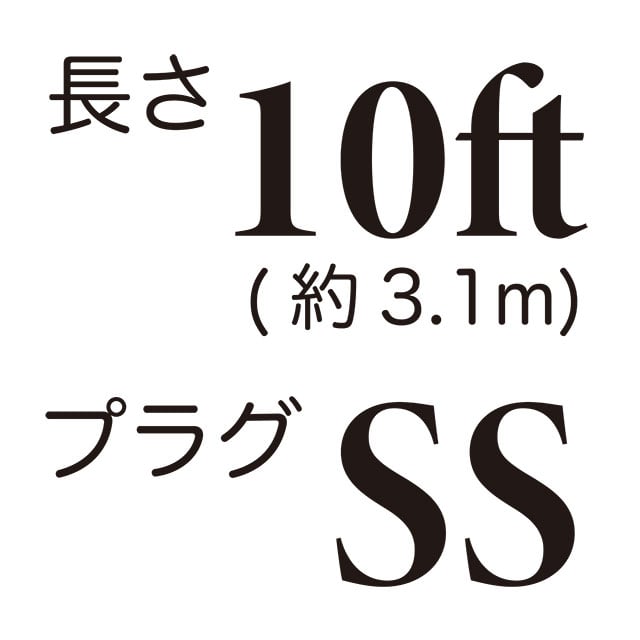 長さ10ft / プラグSS