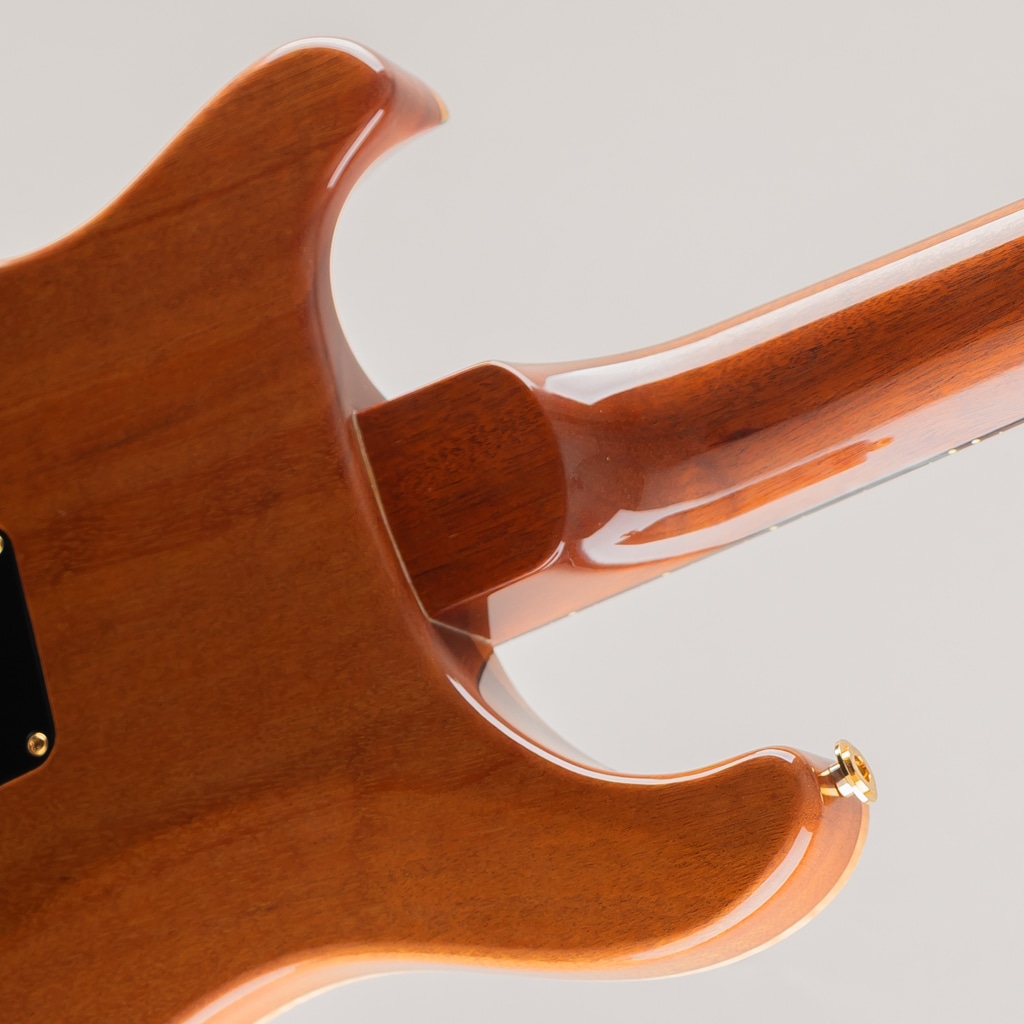 Wood Library Japan Limited DGT "Brazilian Rosewood" Fingerboard Blue Matteo 2013