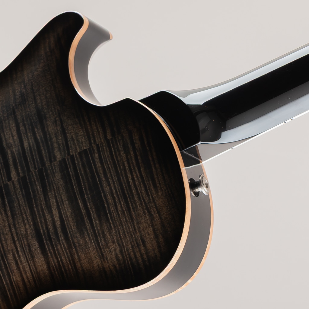 25th Singlecut Hollowbody II 10top 2010