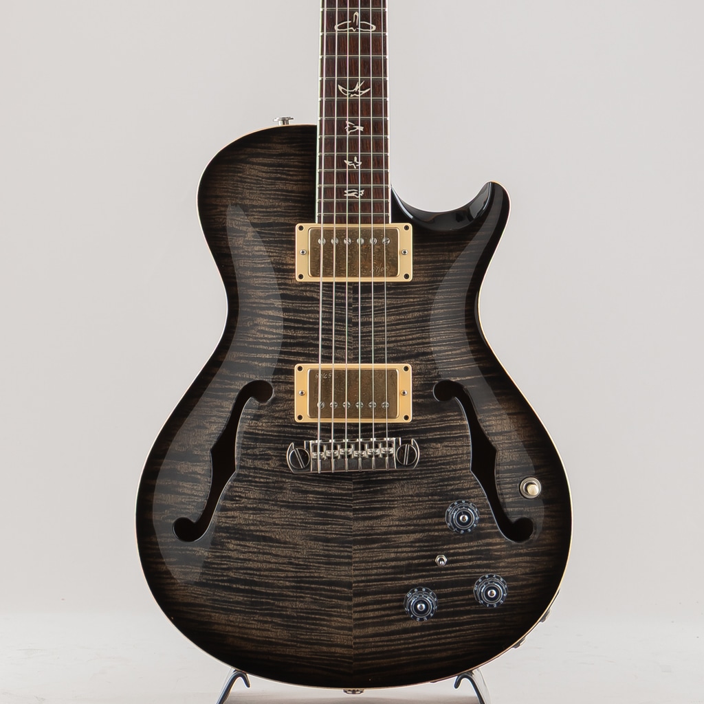 25th Singlecut Hollowbody II 10top 2010