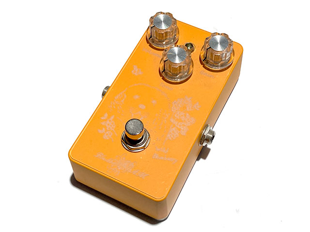 Wild Blueberry Marigold