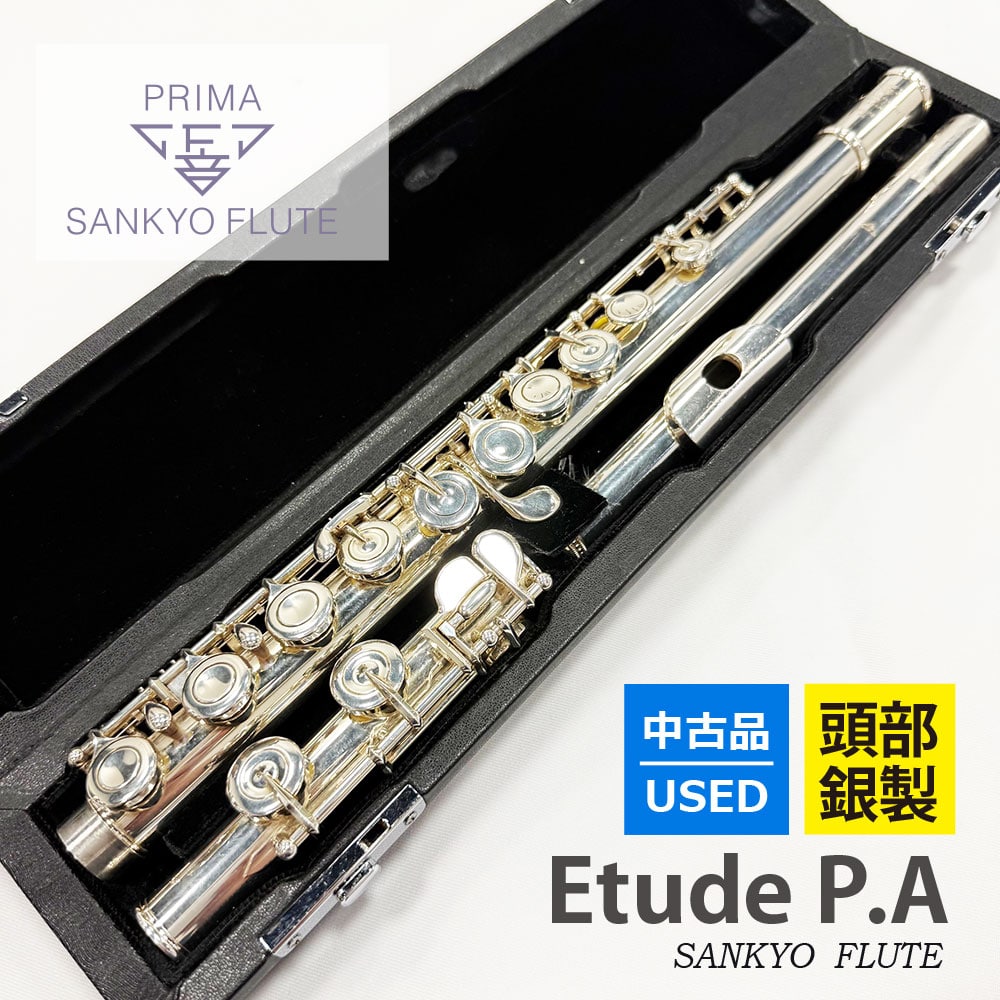 【中古品】ETUDE P.A (カバードキイ)