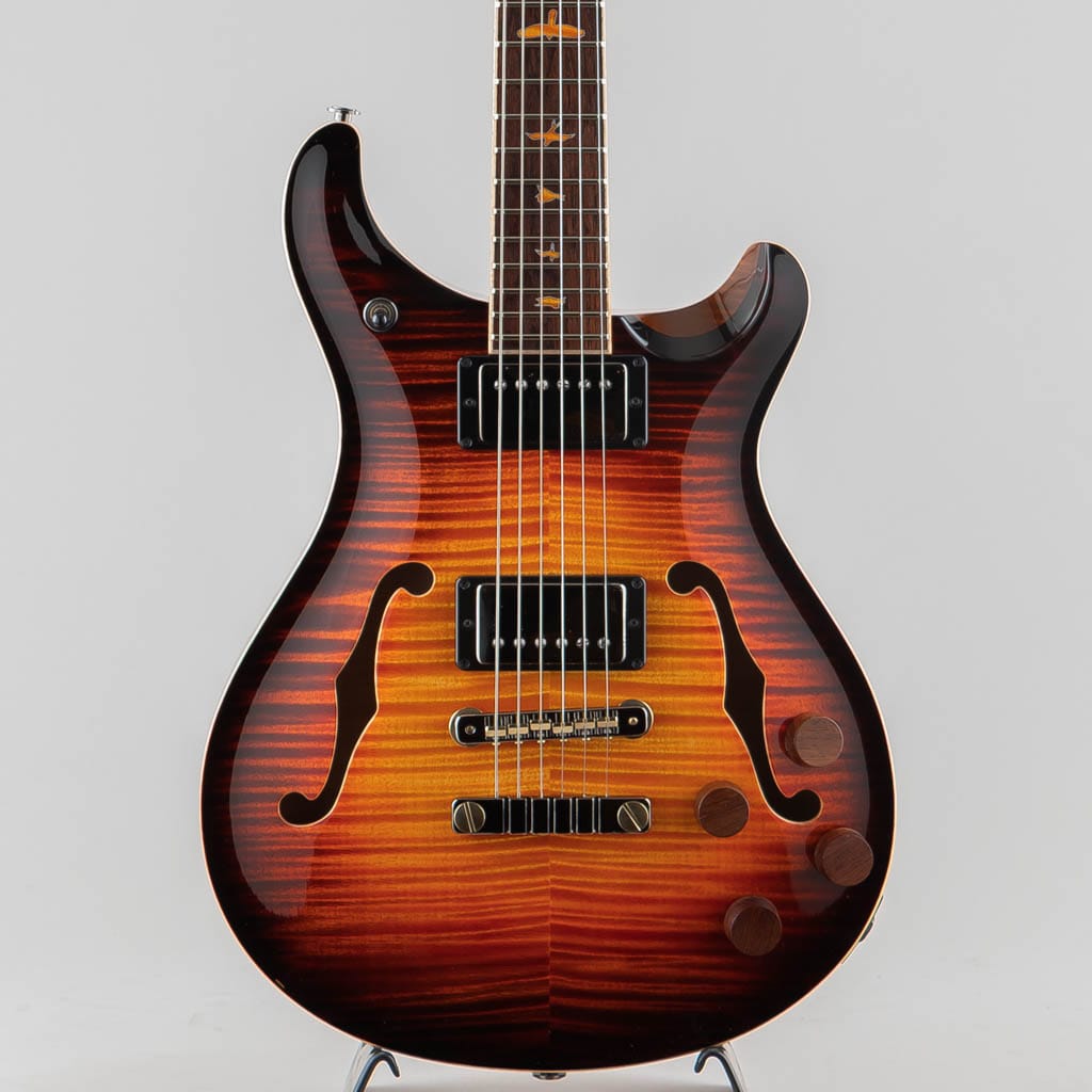 Private Stock #9366 McCarty 594 Hollowbody II Electric Tiger Slow Smoked Burst 2021