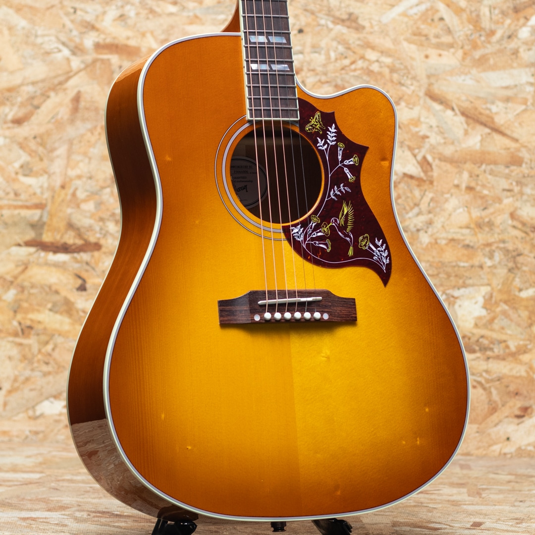 Hummingbird Standard EC