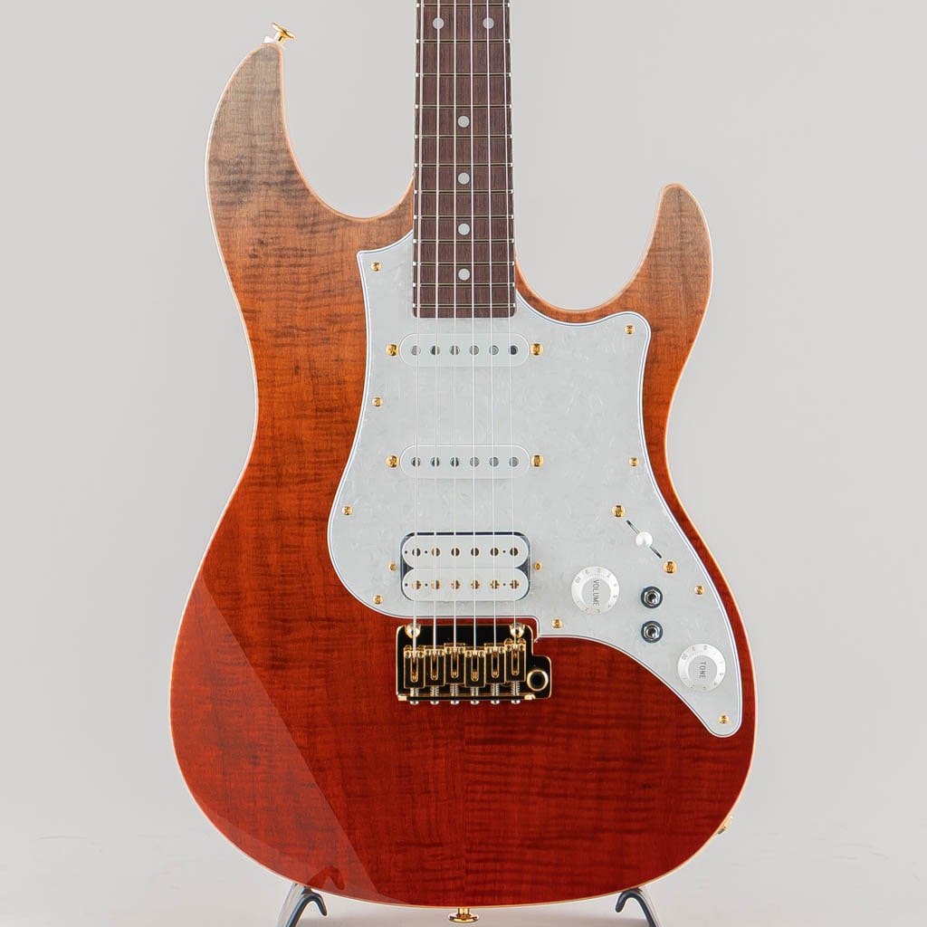 EOS2-FM-R / Ripe Kaki Gradation