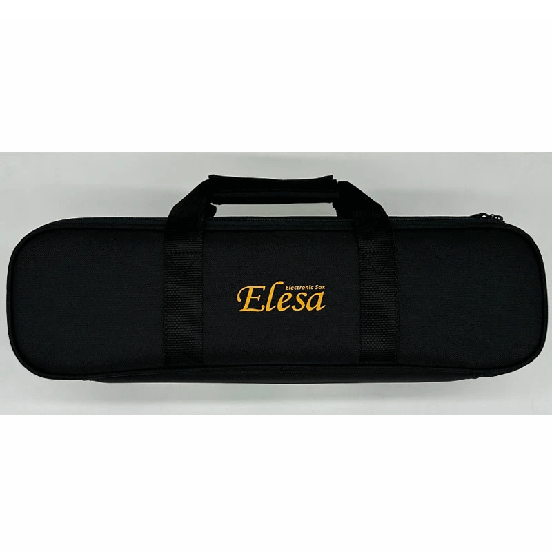 TAHORNG タホーン 電子サックス Elesa10 専用バッグ エレサ