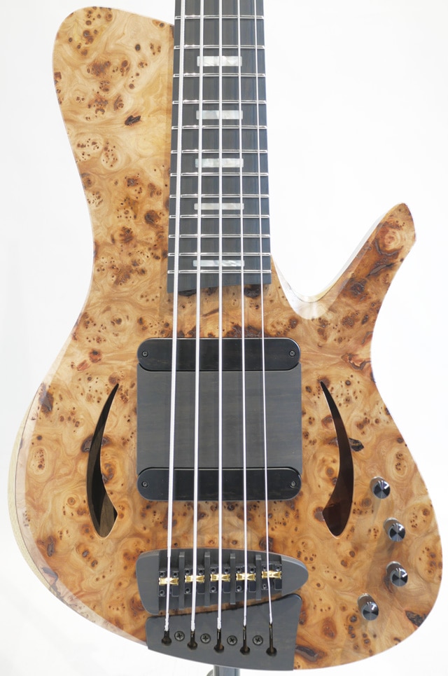 Century 5 string Burled Elm Top