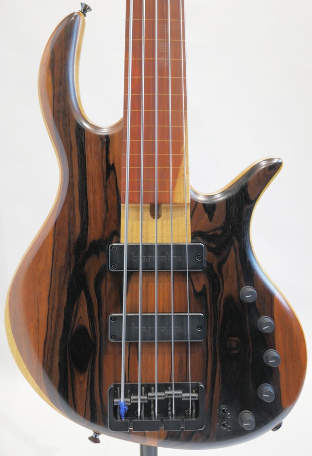 Gold Series E-volution5 Striped Ebony Fretless