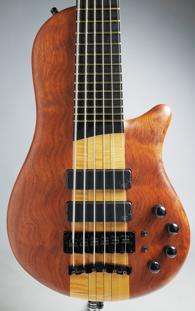 Thumb Bass Single Cut 6st