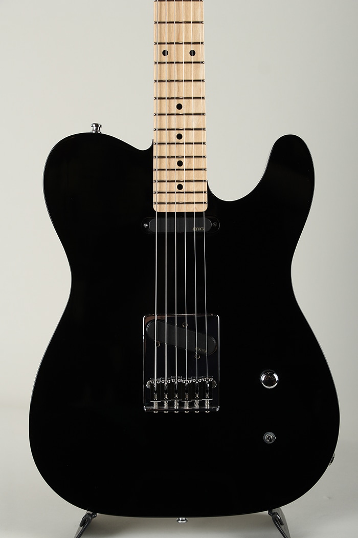 TL Type Order Model EMG Pickups