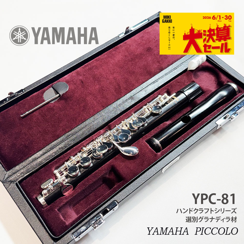 【大決算セール】 YPC-81